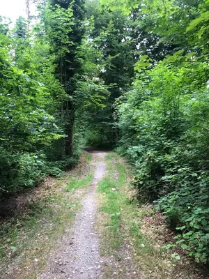 Naturlandschaft in der Nähe der Ferienwohnung