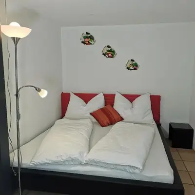 Studio Mario