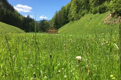 Naturlandschaft in der Nähe des Ferienhauses